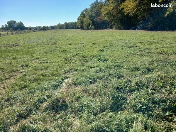 Herbage 1/2 hectare