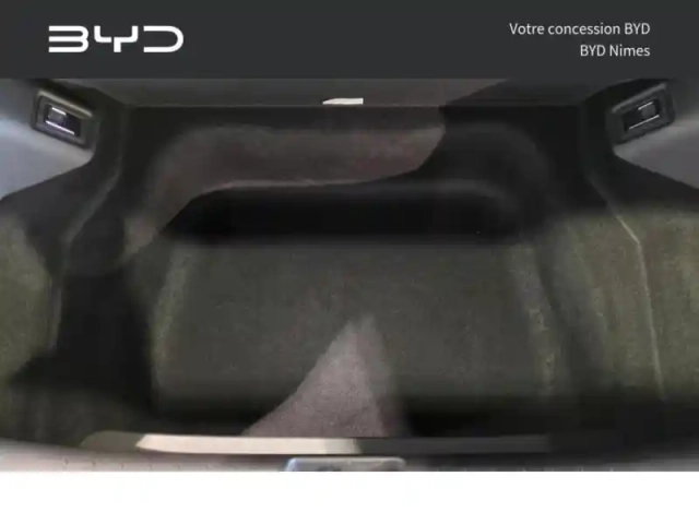 Byd Dolphin Surf 156ch - 43,2 kwh comfort — photo 8
