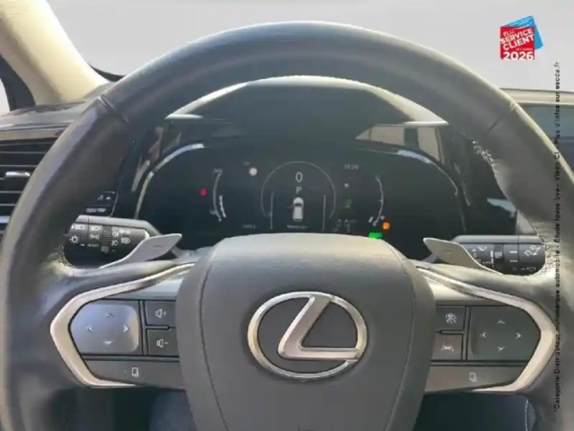 Lexus Nx 450h+ executive 4wd my25 — photo 12