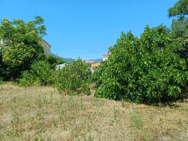 Terrain 407 m²