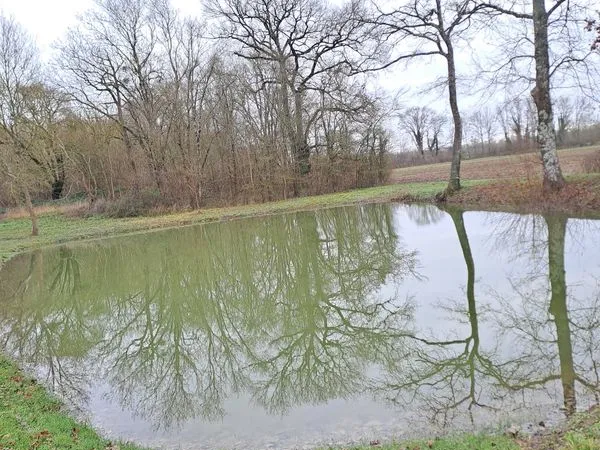 Terrain de Pêche et Loisirs
