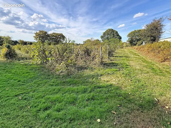 Terrain agricole