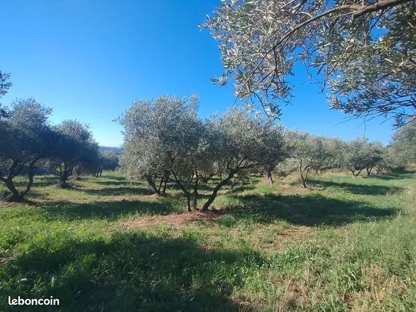 Terrain 2 504 m² Vagnas