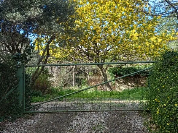 Vente terrain 34 paulhan