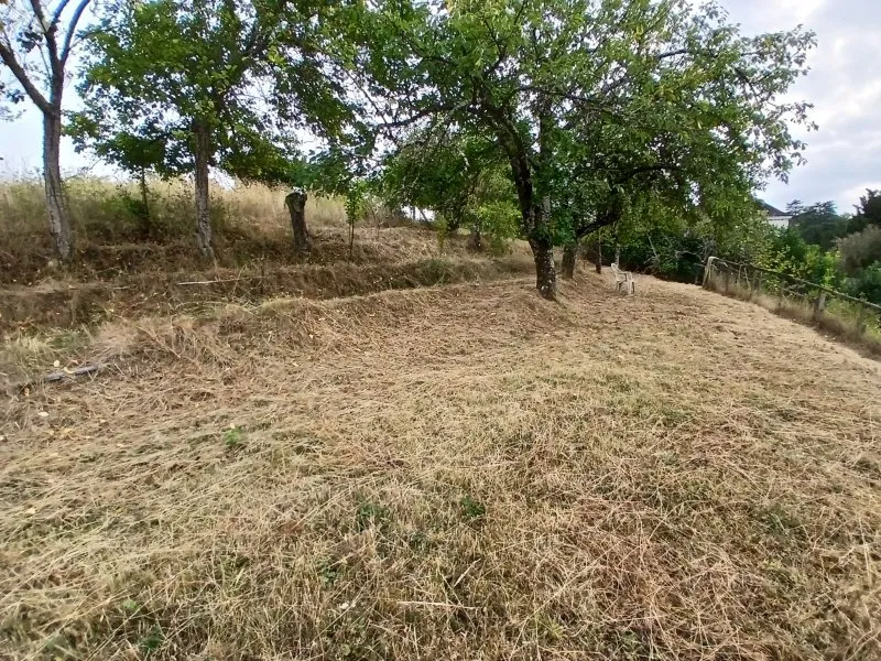 Photo 31