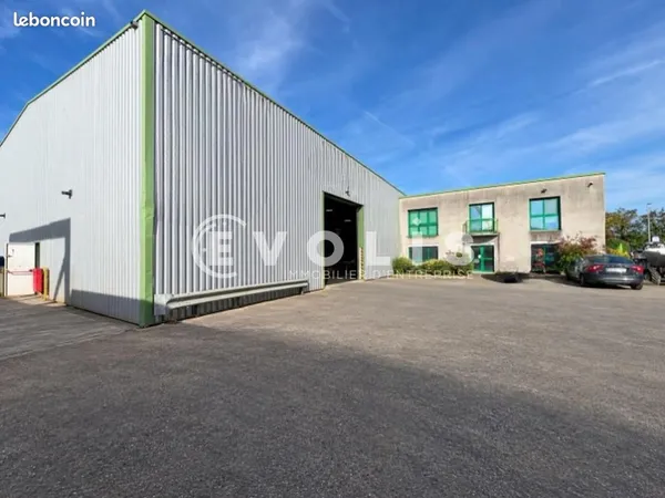 Local bureaux 518 m²