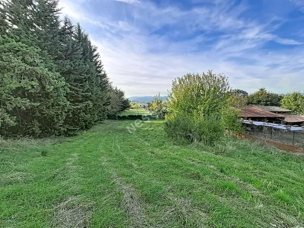 Loriol sur drome , grand terrain constructible de 6000m² en vue d'un lotissement ou projet individue