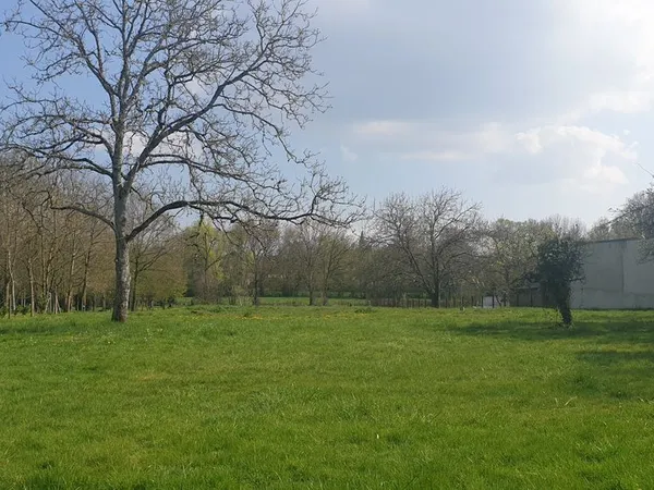 Terrain à bâtir