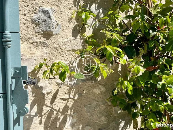 Maison 7 pièces 280 m²