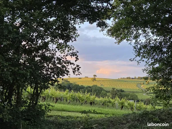 Maison en pierre avec vue sur les vignes - Chardonnay