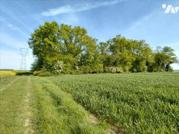 Bien agricole 5986 m²