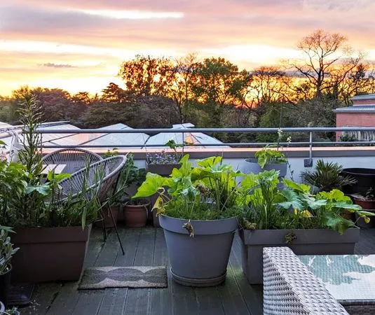 Ravissant appartement face au Jardin des plantes