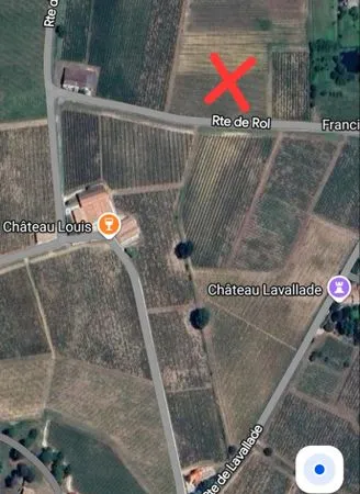1 hectare de vigne saint christophe des bardes
