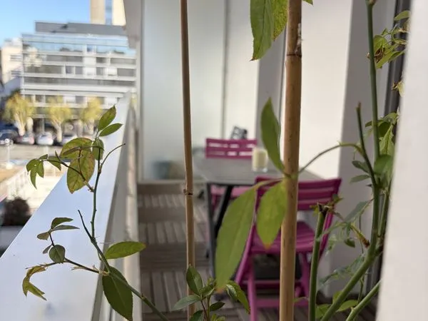 Studio meublé 21m² centre ville La Rochelle