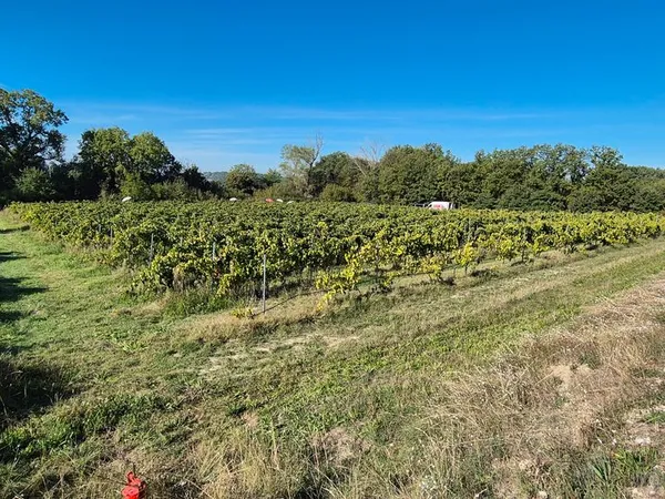 Belle Parcelle sur Pernes les Fontaines (EAU + ELECTRICITE proche) Projet Agricole Ideale