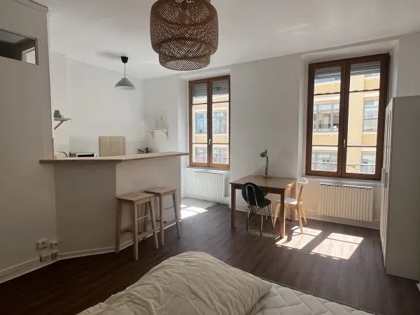 Location appartement Villeurbanne