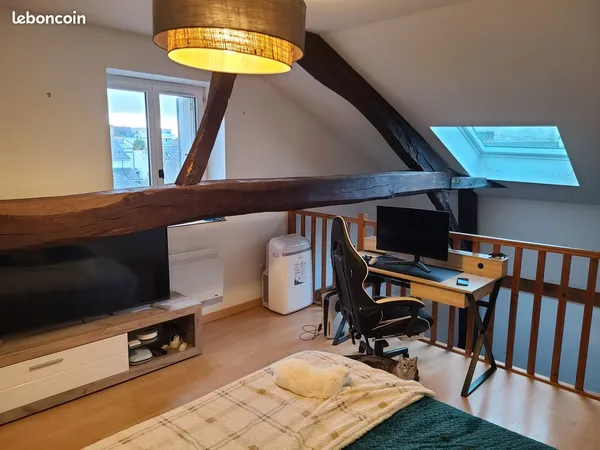 Appartement Duplex 40m² - Hypercentre