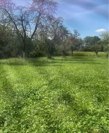 Vend terrain agricole