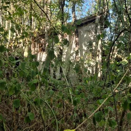 Propriété 3 pièces 60 m²