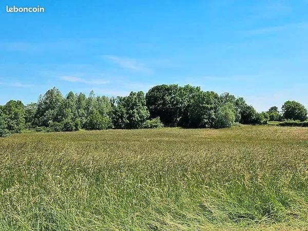 Terrain 550 m² Dommartin