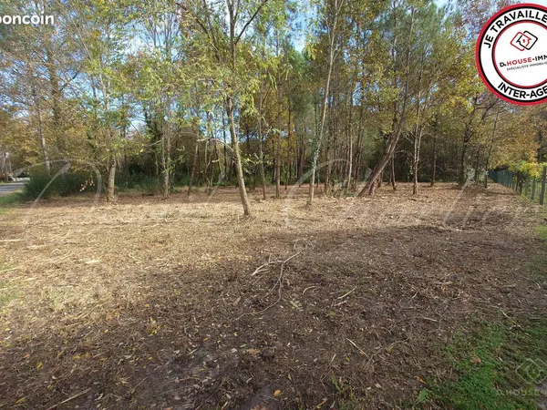 Terrain 3700 m² saint sauveur