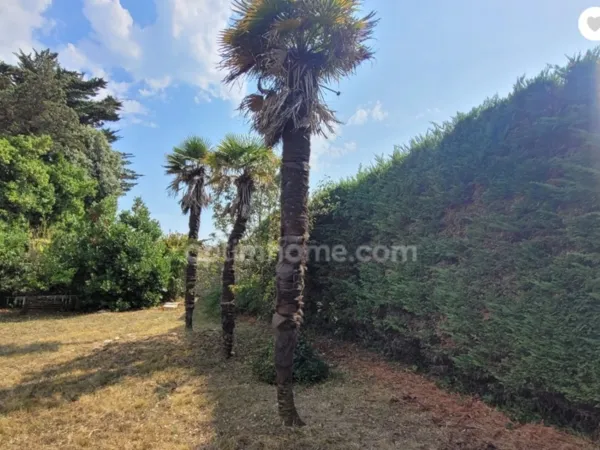 Terrain 500 m²