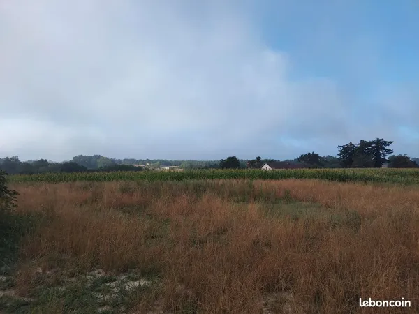 Terrain à bâtir