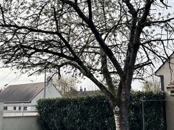 MEAUX 77100-MAISON INDIVIDUELLE-IDEAL FAMILLE