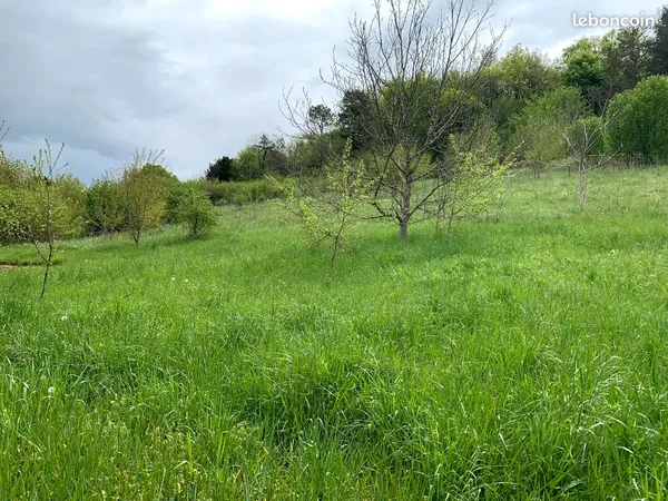 Terrain constructible