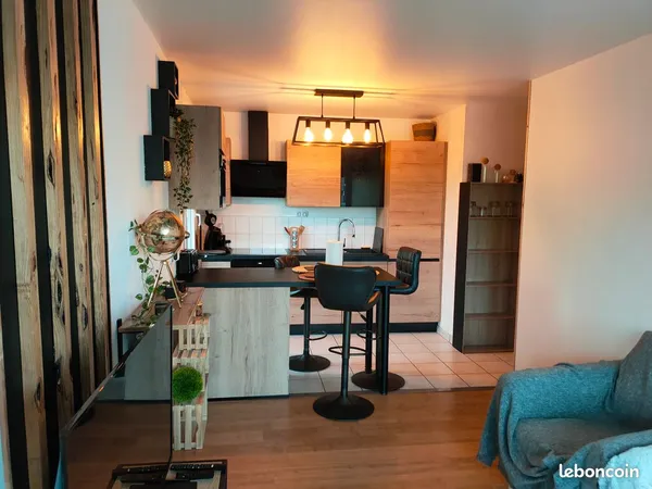 Location meublée - Rennes Beauregard - Grande terrasse de 56 m²