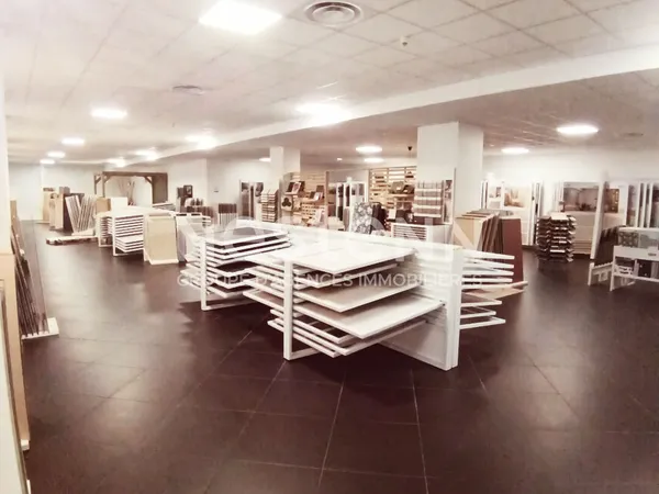 Local commercial Vannes à vendre 3300 m2