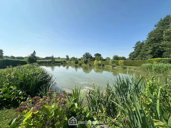 Terrain 231 m²