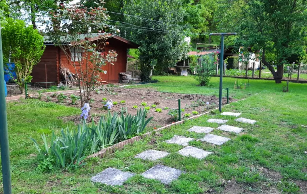 Photo 1