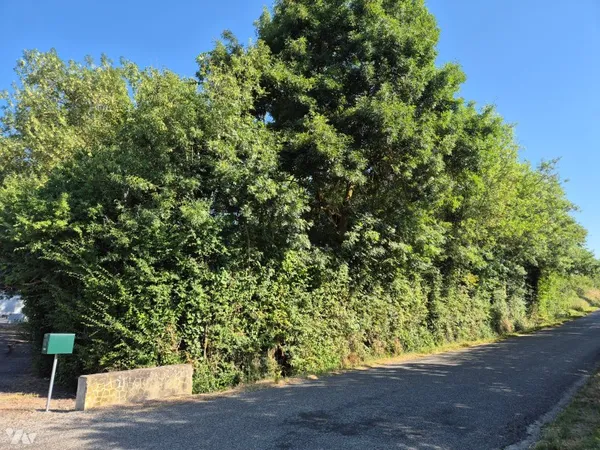 Terrain 4259 m²