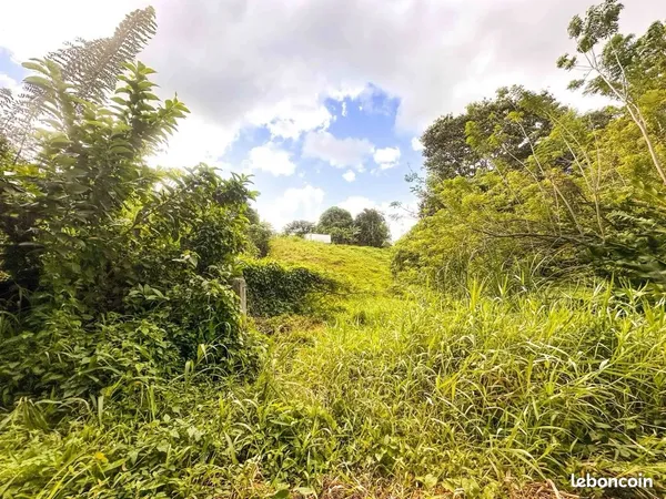Terrain 1300m2 - St Joseph ( Martinique)