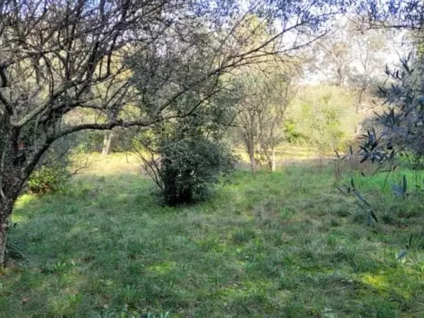 Terrain 960 m²
