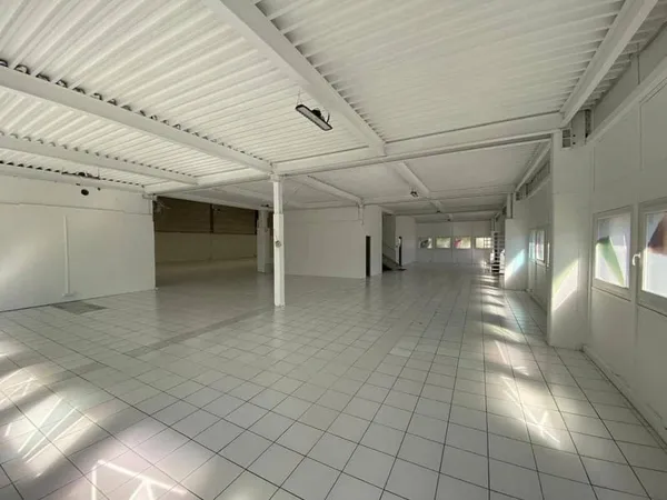Local d'activité 1393 m²