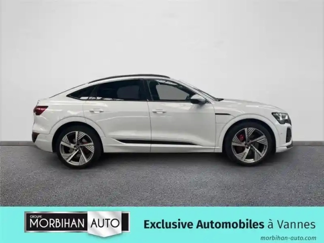 Audi E-Tron 55 408 ch 114 kwh quattro — photo 4