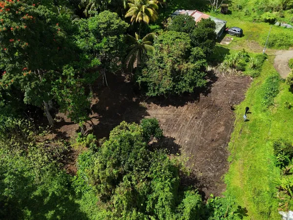Terrain plat de 2175m² à Fort-de-France, à la campagne, idéal pour projet de construction ou investi