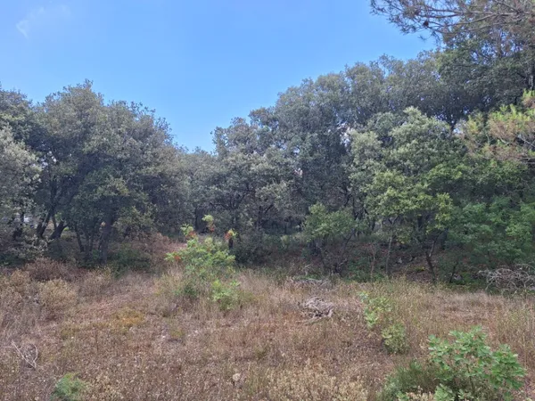 Terrain 1011 m²