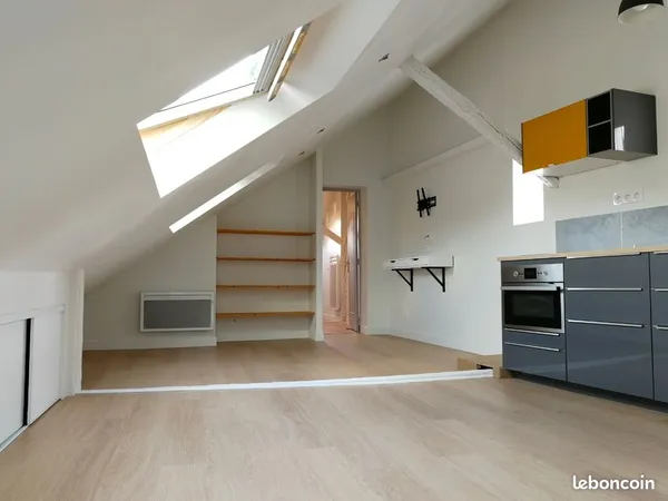 Appartement T2 de charme rénové - DOUTRE/HYPER-CENTRE