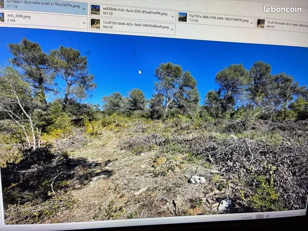 Terrain boisé