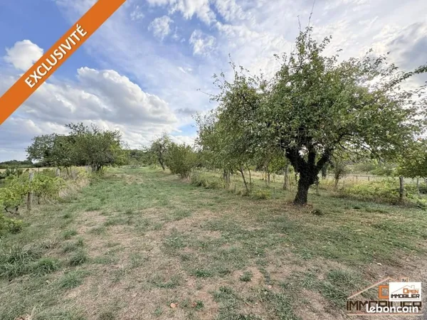 Terrain 4 028 m² Jayac