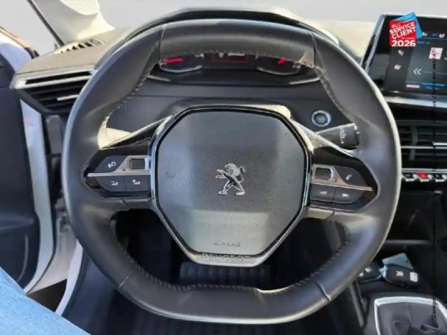 Peugeot 208 1.5 bluehdi 100ch s&amp;s active — photo 12