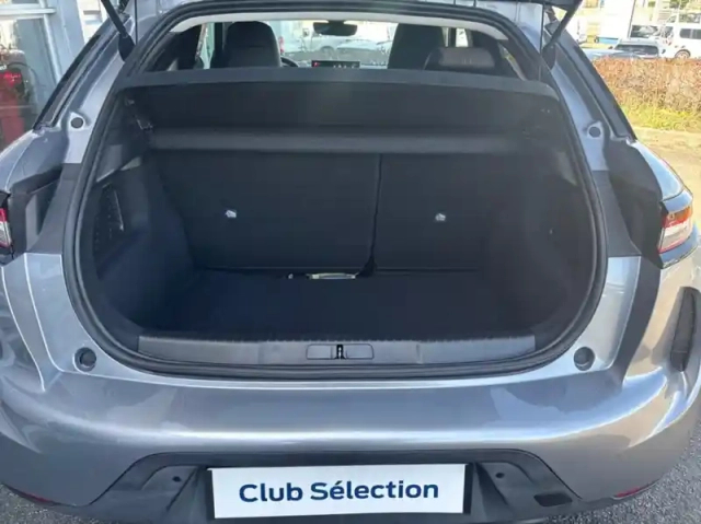 Ds Ds 3 bluehdi 110ch so chic — photo 11