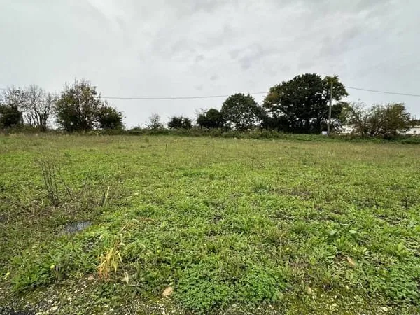 Terrain 690 m²
