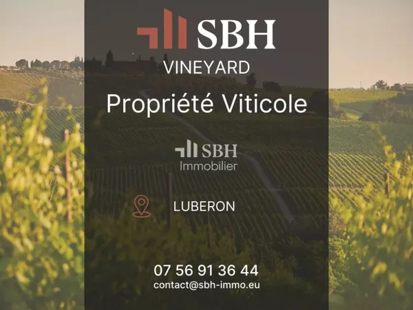 Propriété viticole avec hébergements touristiques au coeur du Lub