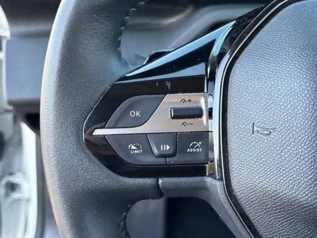 Peugeot 308 sw bluehdi 130ch s&amp;s eat8 — photo 15