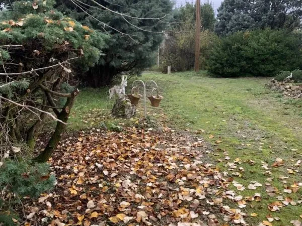 Terrain 850 m²