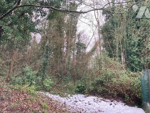Terrain 5598 m²